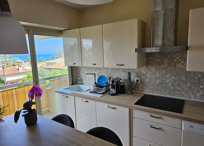 T2 Lumineux De Standing 45m2 Au Calme Proche A Pied Et Centre-ville-wifi-climatisation 公寓 昂蒂布