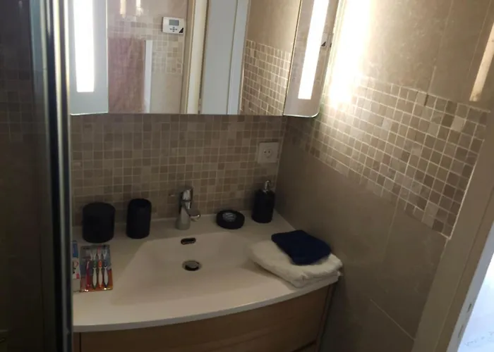 公寓 T2 Lumineux De Standing 45m2 Au Calme Proche A Pied Et Centre-ville-wifi-climatisation