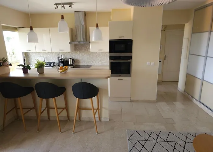 公寓 T2 Lumineux De Standing 45m2 Au Calme Proche A Pied Et Centre-ville-wifi-climatisation 昂蒂布