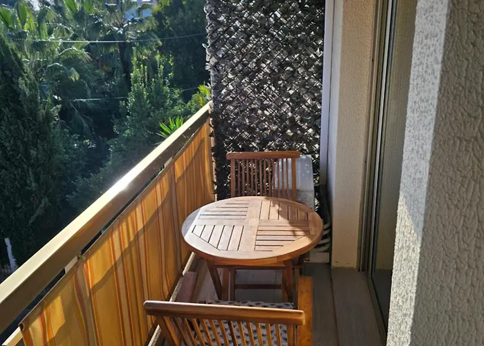 T2 Lumineux De Standing 45m2 Au Calme Proche A Pied Et Centre-ville-wifi-climatisation *