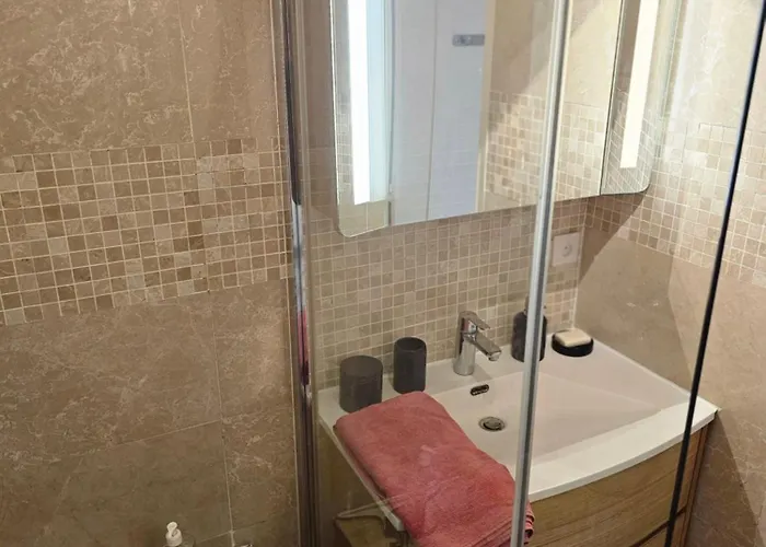 T2 Lumineux De Standing 45m2 Au Calme Proche A Pied Et Centre-ville-wifi-climatisation 公寓