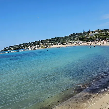 Antibes-t2-45m2-proche Et Centre-ville-wifi-climatisation דירה אנטיב