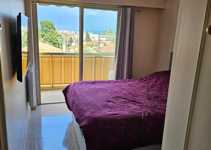 De Standing 45m2 Au Calme Proche Et Centre-ville-wifi-garage Apartment Antibes