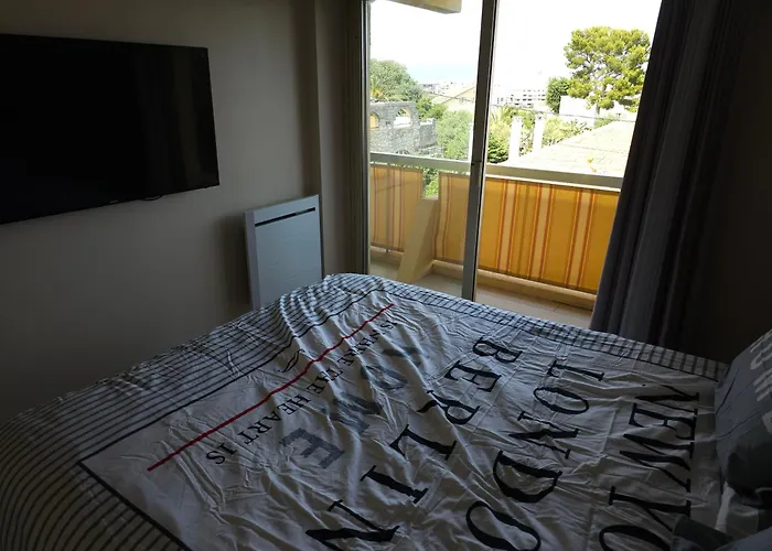 De Standing 45m2 Au Calme Proche Et Centre-ville-wifi-garage Daire